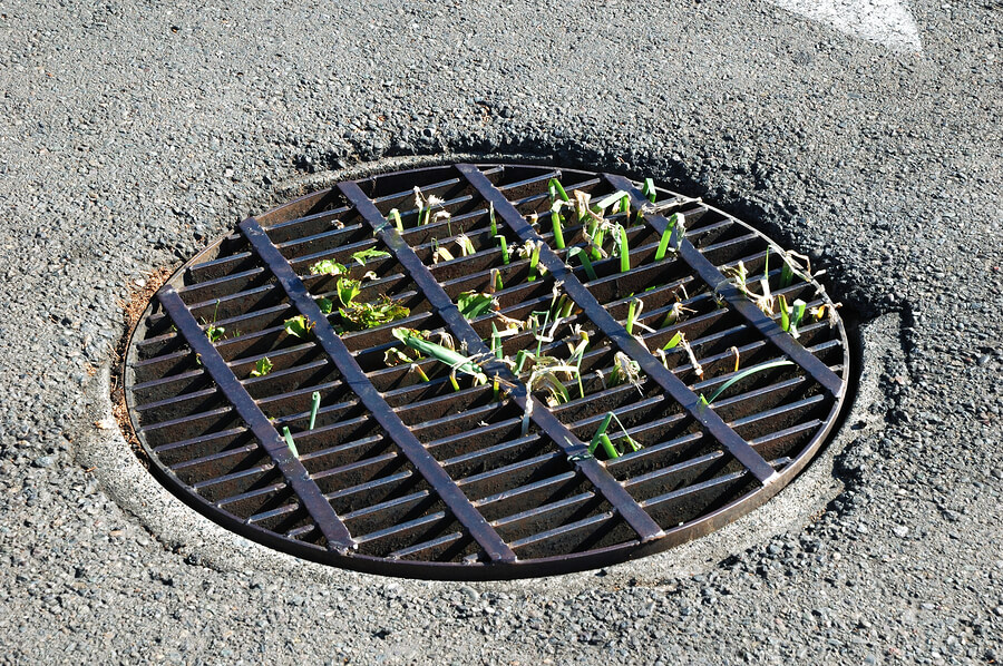 Catch basin drain